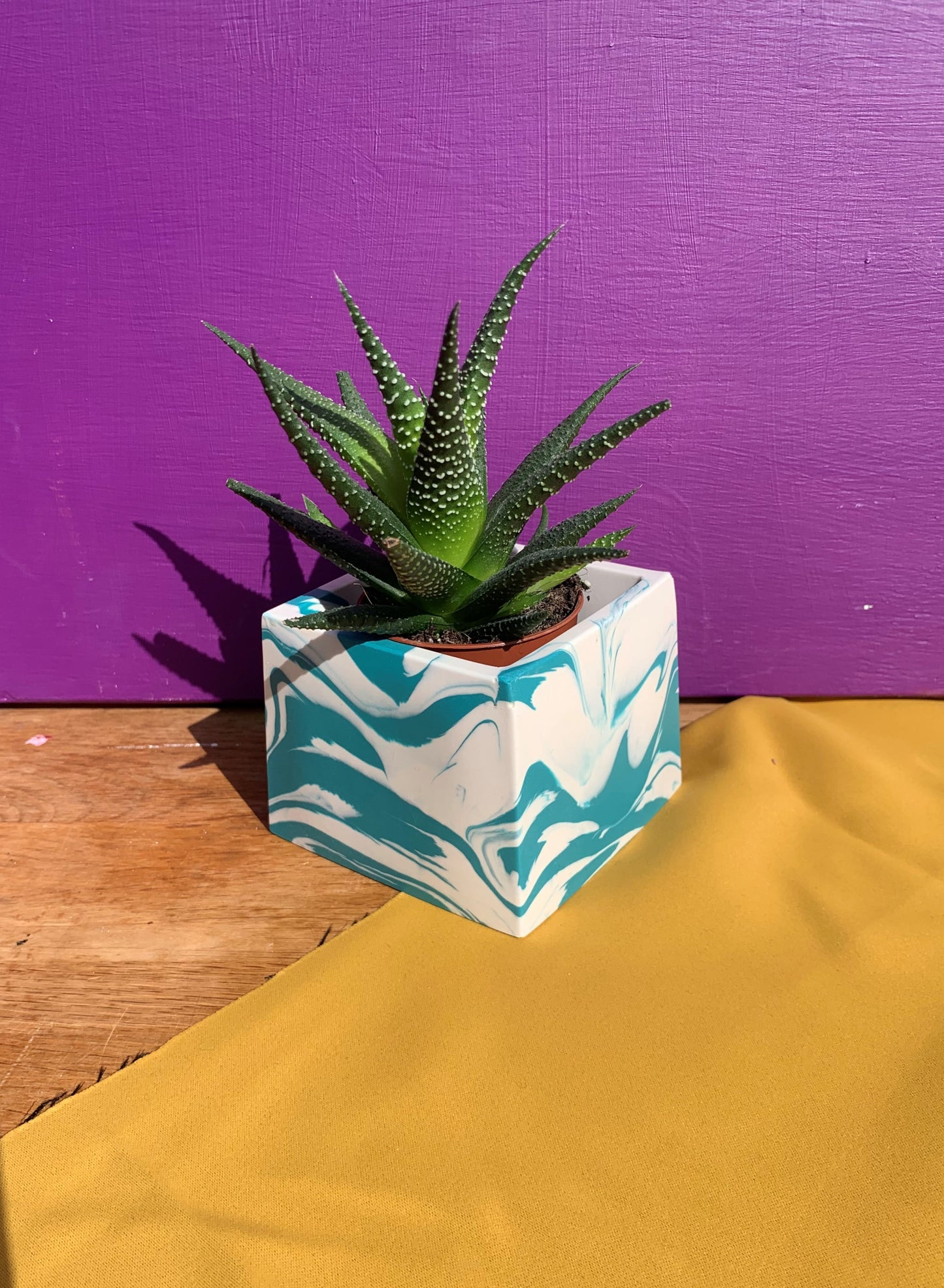 Teal and White Square Pot